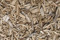biomass boilers Rhuvoult